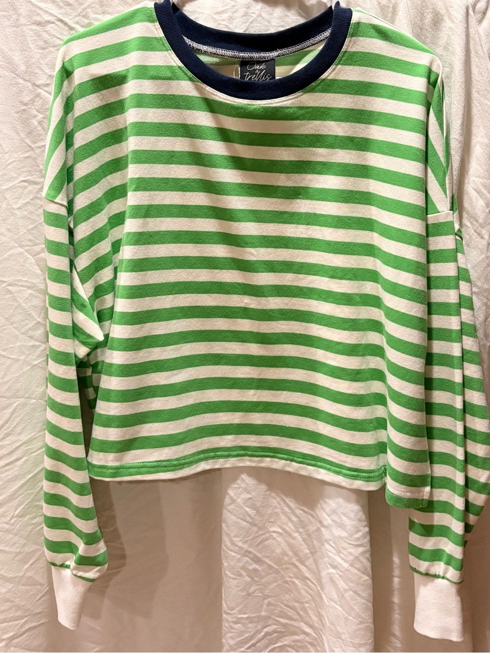 Oak & Trellis Striped Crewneck Tee in Green, White & Navy